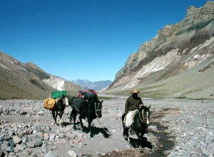 Tupungato Volcano